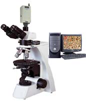 ������ XP-500Eƫ����΢��