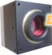 ��ɫ��������ϵͳ��΢����ϵͳ