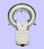 ����ӫ�����΢�����