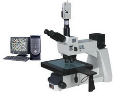 �߼���MTZ-800E������΢��